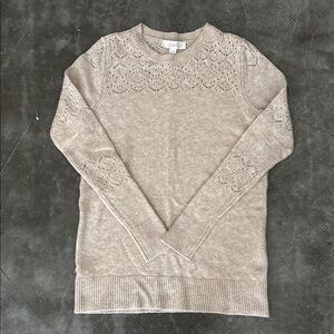 LOFT Beige Lace Accent Women's Sweater